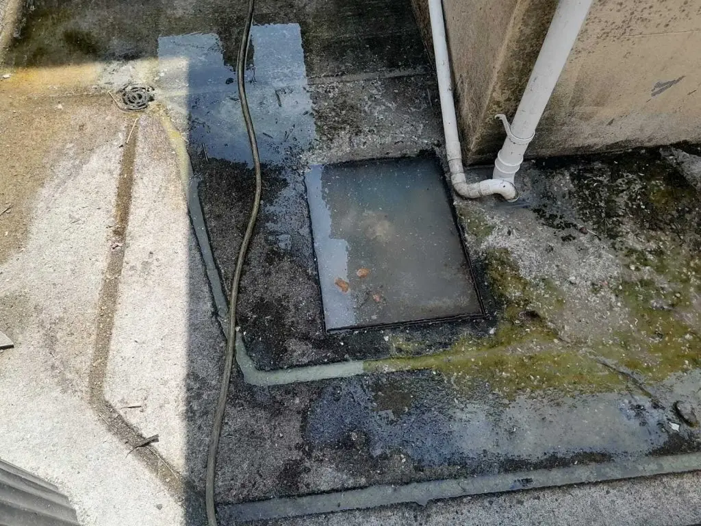 Blocked outdoor drain with surface water pooling and overflowing inspection chamber near downpipe
