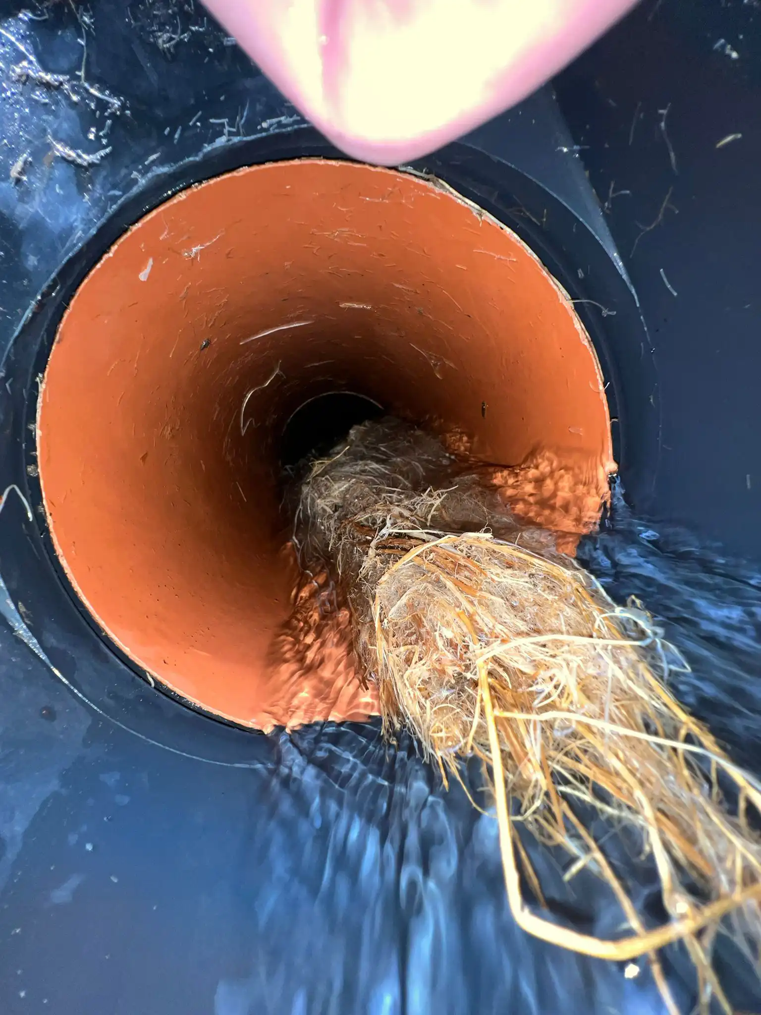 Cracked underground drain pipe discovered via CCTV. typical of older drainage systems across Cornwall towns like Liskeard, Truro, St Austell, and Redruth.