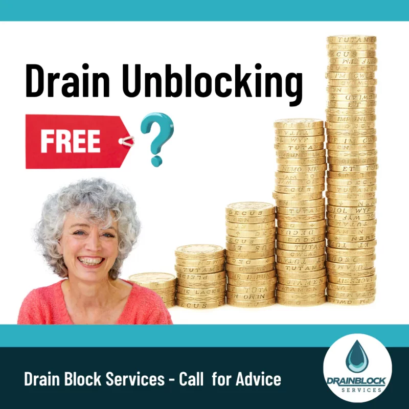 Free Drain Unblocking Plymouth - Call For Advice - Drain Block Services - Plymouth Devon Cornwall - Drainblock Services Advertisement for drain unblocking featuring a smiling woman, a FREE tag, a question mark, and tall stacks of gold coins.